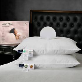 Alpswan 766997316028 Goose Down Pillow Hotel Quality With Feather Fill 750 Power Queen Size
