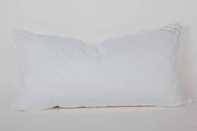 Sp30 Eastwarmth Sp30%onepillow-king King Size Goose Down Feather Hotel Collection Bed Pillow For Sleeping Bac