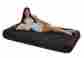 Fps-291815 Intex Pillow Rest Classic Airbed With Built-in And Electric Pump Twin 078257667758