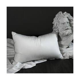 3sc-50pillow-q1 Hyvif Premium White Down Pillow Queen Size - 550 Fill Power Pillows Hotel B