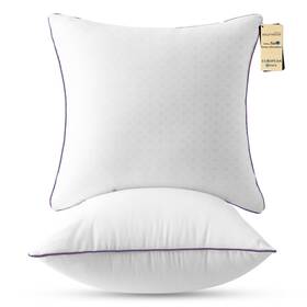 Dmj-us-fcz-2-we Jollyvogue Dmj-us-fcz-2-we&pe-e Euro Size Pillows Set Of 2 26ftft X Cooling Bed Throw