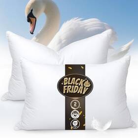 Dp001-10-16 Zibroges Goose Feather Pillows Queen Size Pack Of 2 - Hotel Down Bed Pillow For Sleepi