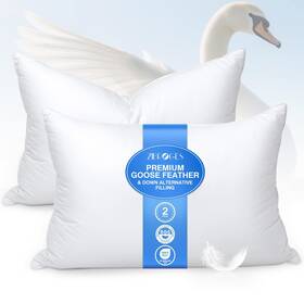 Er-dp002-2 Zibroges Feather Pillows Queen Size Set Of 2 - Goose Down Hotel Bed Pillow For Sleep Inch