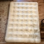 Coleman Quick Airbed Single High Mattress W/ Pump & Storage Bag. Fixed Price $27.00.
