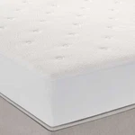 Sleep Number Climate Total Protection Mattress Pad - No Import Fees. Fixed Price $179.99.