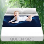 Grounding For Bed, Mattress Cover Pads Better Sleep, Pain Reli. Fixed Price $39.72.