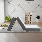 Treaton, 4-INCH Tri-folding Gel Memory Foam Small Single, Version. Fixed Price $96.47.