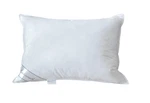 Eastwarmth Queen Size Natural Goose Down Feather Pillow For SLEEPING,100% Cotton. Fixed Price $32.89.