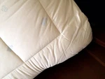 Certified Organic Cotton & Wool Mattress Pad Twin Full King Queen Sleep Beyond. Fixed Price $299.00.