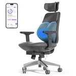 Smart Office Chair C5 For Multi-functional Height-adjustable Inflatable Heated. Fixed Price $299.00.