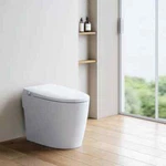 Non-electric Smart Bidet Toilet With Dual Nozzles Cleanse Built-in Pump. Fixed Price $499.99.