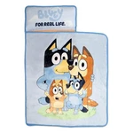 Bluey Kids Nap-mat Set Includes Pillow And Toddler,. Fixed Price $42.91.