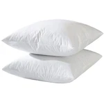 Basic Home Hotel-style Goose Feather Pillow Insert For Sofa & Bed 100% Odo.... Fixed Price $73.24.