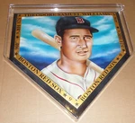 Williams Painted Baseball Home Plate Karen O'neil Ganci Air-brushed Artwork. Fixed Price $599.99.