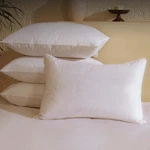 Bhz Goose Down Feather Pillows Standard Size Set Of 4 Pack, Luxury Hotel Alte.... Fixed Price $114.08.
