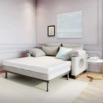 Classic Brands 4.5 Inch Memory Foam Sofa Bed Mattress Queen 414800-1152 White. Fixed Price $250.00.
