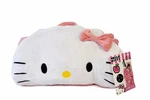 Hello Kitty Glow The Dark Pink Cartoon Sleeping Bag Pillow 54X28IN Kids. Fixed Price $19.99.