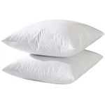 Basic Home Hotel-style Goose Feather Accent Pillow Insert For Sofa & Bed 14X14. Fixed Price $33.52.