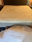 Comfort King Adjustable Inflatable Mattress Electric Pump C5. Fixed Price $350.00.