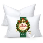 Zibroges Feather Queen Size Set Of 2 Goose Down Hotel Bed Sleepin. Fixed Price $91.99.