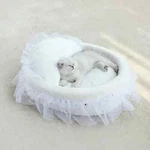 New Pet Bed, Spoiled Cat Sofa White Lace Princess Luxury Nest Sleep Mat Gift. Fixed Price $39.00.