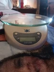Taylor 3842B Digital Kitchen Scale Modern Glass 11 Lbs Capacity. Fixed Price $25.00.