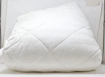 Beautyrest Queen Mattress Pad. Fixed Price $24.95.