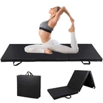 Nova Microdermabrasion Folding Gymnastics Mat With 6FT X 2FT 2IN, Black. Fixed Price $64.99.
