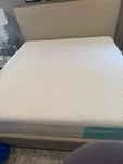 Casper Snow, Twin Xl Mattress Sanitized & Recompacted - Free Delivery. Fixed Price $585.00.