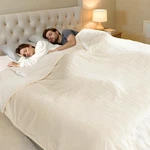 Electric Blanket Queen Size Dual Control - Washable Heated With.... Fixed Price $89.62.