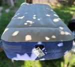Mattress Blow Up Inflatable Bed Sofa Chair Intex Coleman Ozark Trail Guest. Fixed Price $38.95.