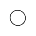 Cell Electrode O-ring For Intex ECO7220 Pool Filter Pump Saltwater System. Fixed Price $11.81.