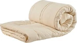 Sleep & Beyond Mymerino Mattress Topper, Organic Wool. Fixed Price $319.00.