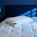37.5 Temperature Regulating Hotel Bed Pillows Queen Size Set Of 1, 300 Thread C. Fixed Price $68.99.